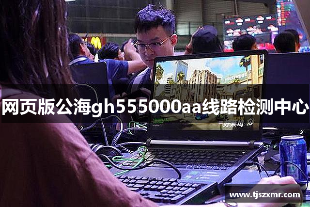 网页版公海gh555000aa线路检测中心
